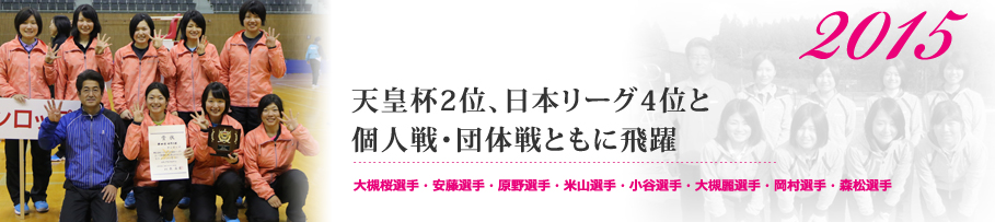 2015年イメージ